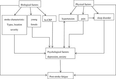 Post-stroke fatigue: a review of development, prevalence, predisposing factors, measurements, and treatments